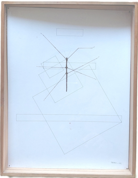 BAUDUIN - Phasme, 1979